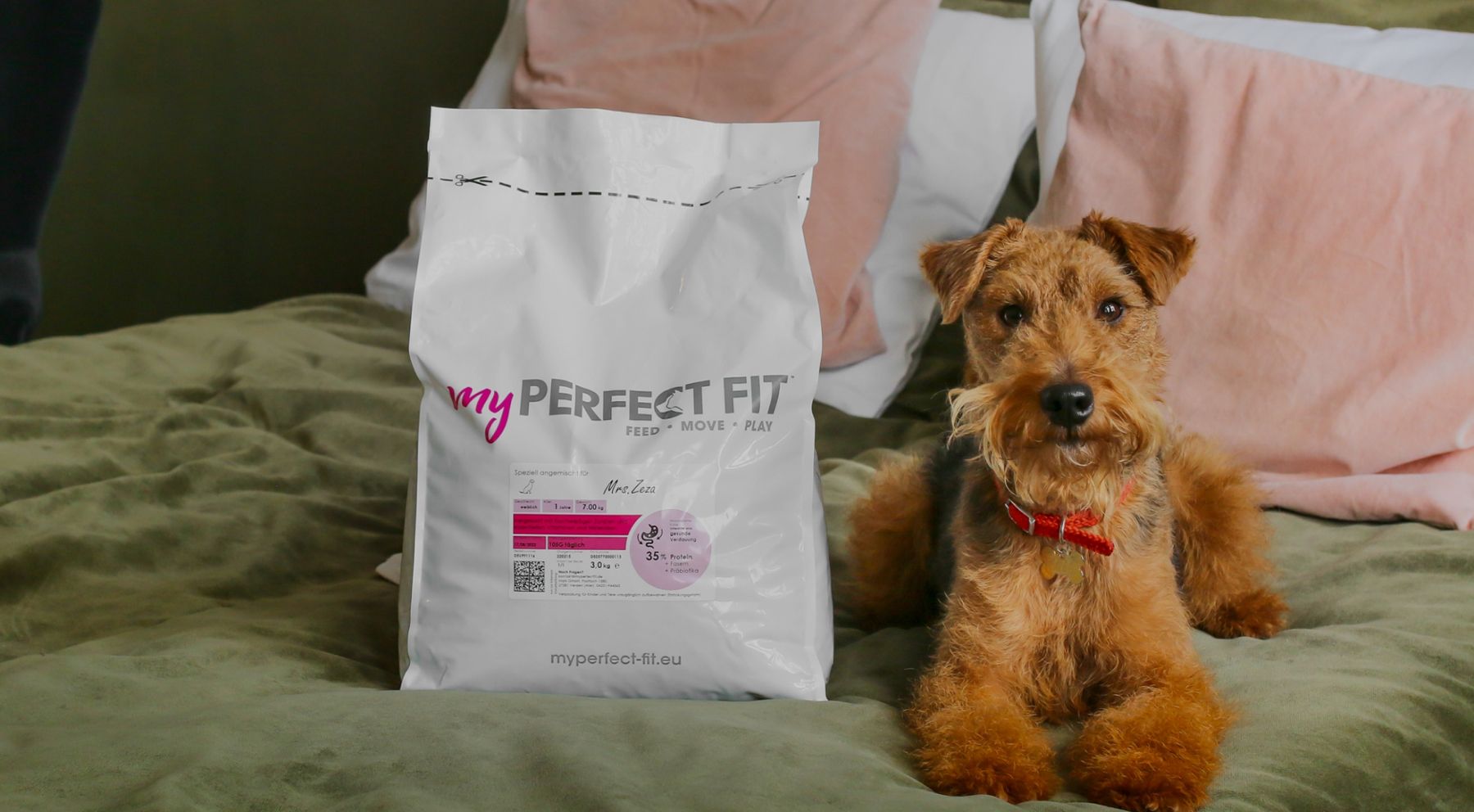 Dog with petfood