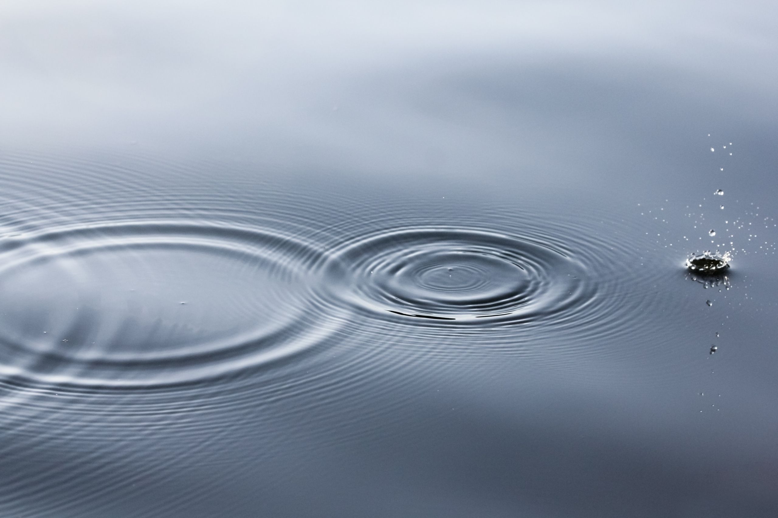 Kringen in het water